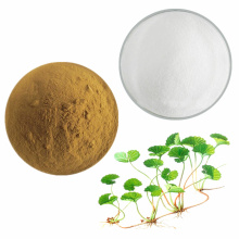 skin care cosmetic grade Asiaticoside powder extract gotu kola / centella asiatica